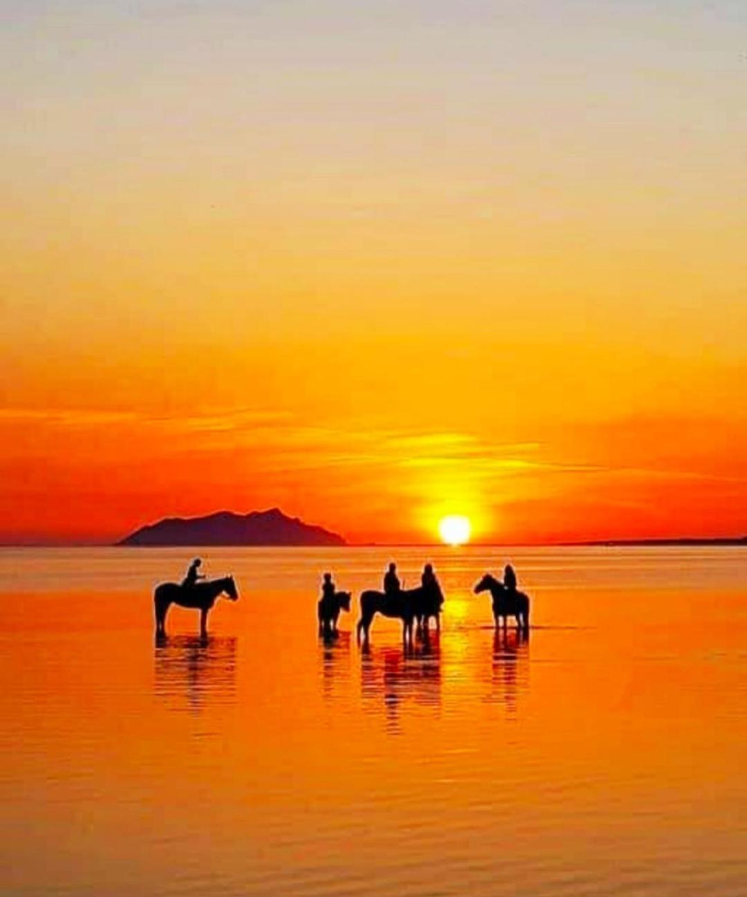 Sunrise Stagnone - Seafront Kitesurf Bed and Breakfast Marsala Buitenkant foto